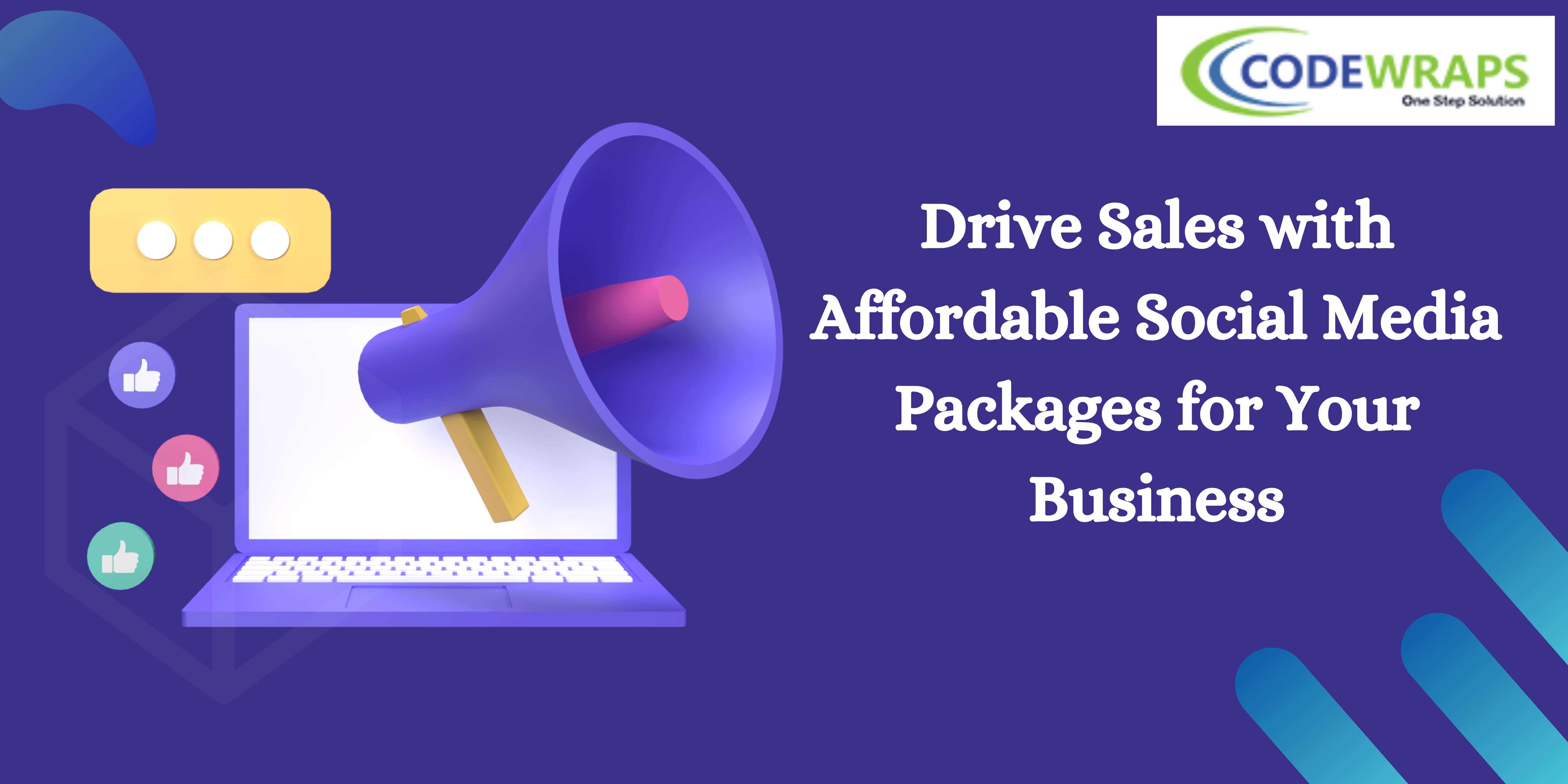 Drive Sales with Affordable Social Media Packages for Your Business